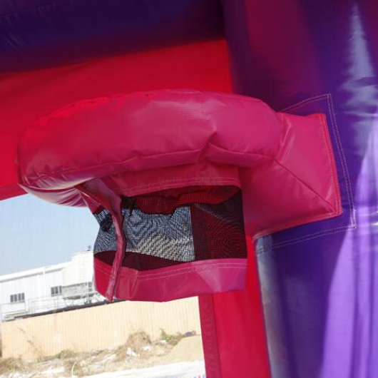 14' Pink Commercial Bounce House