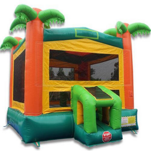 14' Commercial Bounce House