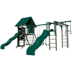 Lifetime swing top set for sale