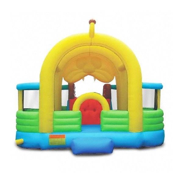 Residential Bounce House - Kidwise Lions Den Jumper With Slide - The Bounce House Store